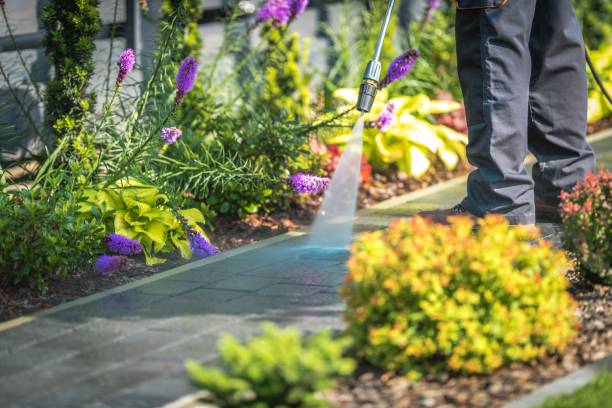 Professional  Pressure Washing Services in Macon, MS